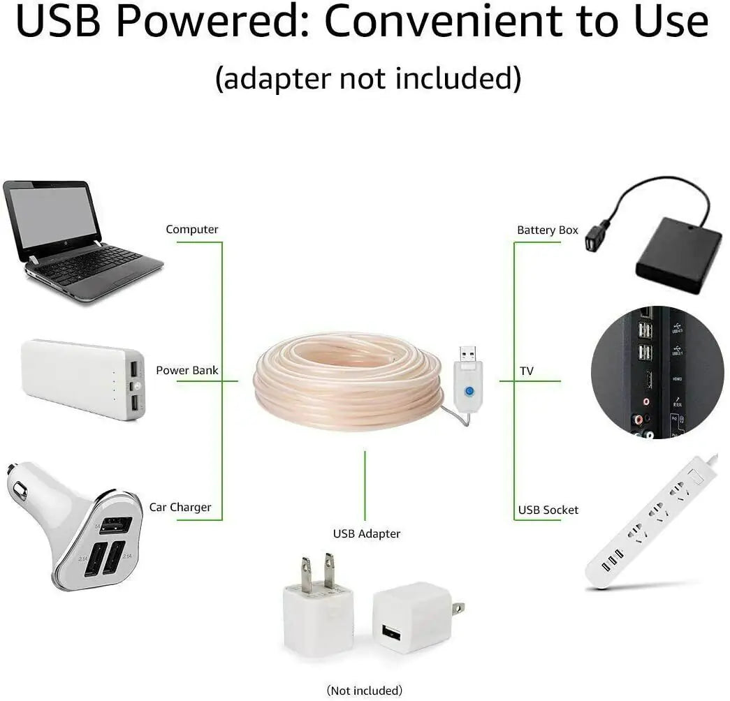 100 LED 33ft Decorative Outdoor Rope Lights