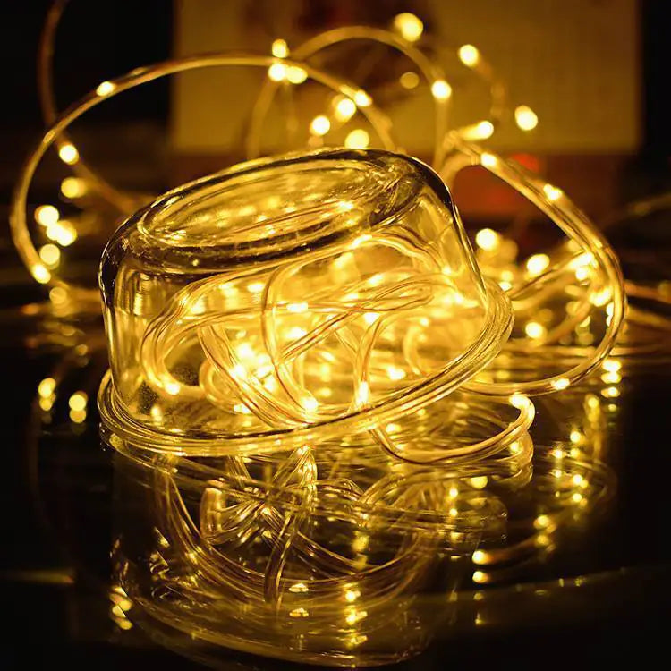 100 LED 33ft Decorative Outdoor Rope Lights