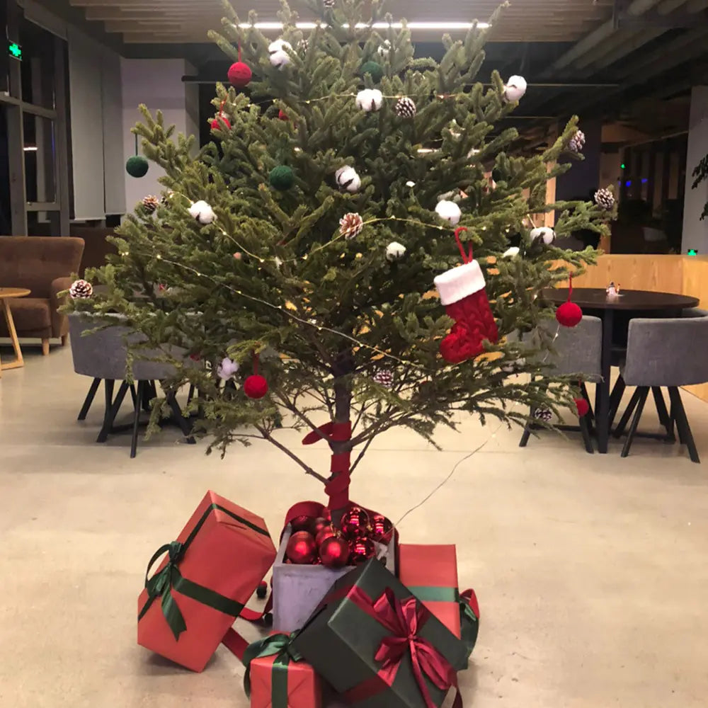 Holiday Letter Knit Socks